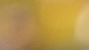 La actuación del principal venezolano Jesús Valenzuela fue criticada por varios sectores.