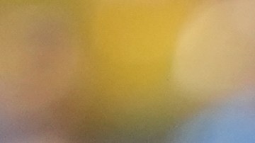 La actuación del principal venezolano Jesús Valenzuela fue criticada por varios sectores.