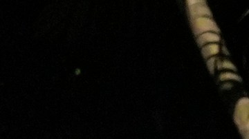 Elecciones en Venezuela