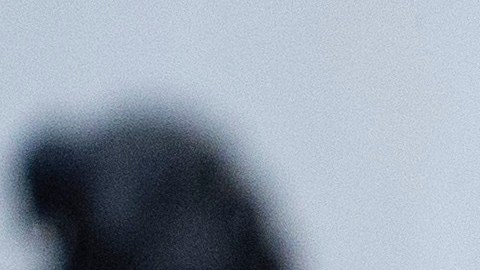 Jill Biden, la primera dama, es una figura clave del entorno del presidente.