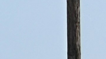 Tiroteo durante celebración de Juneteenth, en Texas