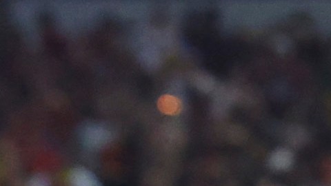 Jesse Marsch celebra tras el triunfo en penales ante Venezuela, por los cuartos de final de la Copa América 2024.