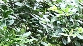 El agua inunda un estacionamiento en Houston, luego de que la tormenta tropical Beryl tocara tierra en Texas y provocara fuertes lluvias.