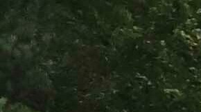 Tormenta tropical en Texas