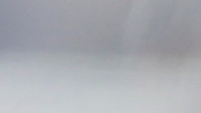 Vladimir Guerrer Jr. podría salir vía canje de los Blue Jays.