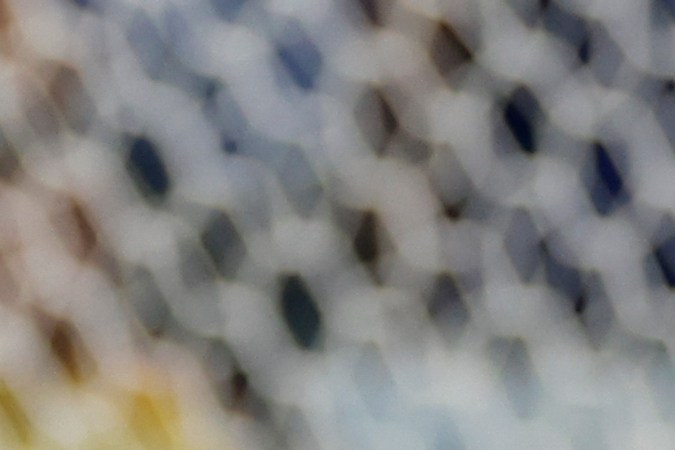 Messi celebrando su gol 109 con la camiseta albiceleste.