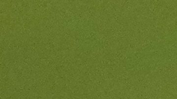 Canadá deja en el aire presencia Alphonso Davies en el duelo ante Uruguay