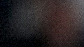 Selección de Argentina después de vencer a Canadá en semifinales de la Copa América.