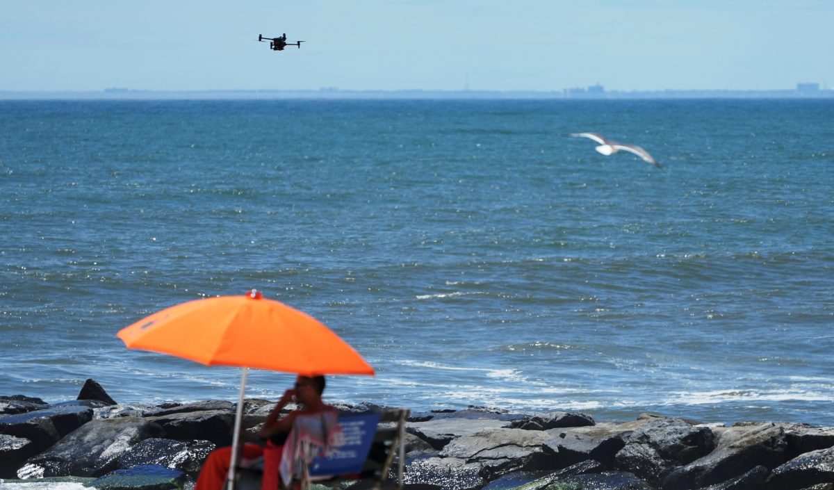 Por tiburones cerraron playa en Queens, Nueva York; aves dificultan supervisión de drones