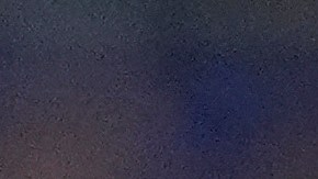 Lautaro Martínez celebra con sus compañeros el gol de Argentina frente a Colombia.