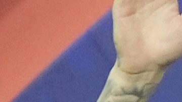 ¿Cuáles son las posibles sedes para la Finalissima entre Argentina y España?