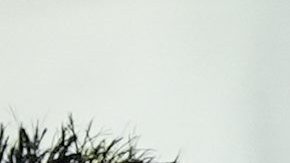 Ángel Di María celebra tras la Copa América que ganó Argentina en Estados Unidos.