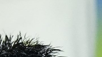 Ángel Di María celebra tras la Copa América que ganó Argentina en Estados Unidos.