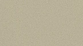 Kimberly Cheatle en el Congreso