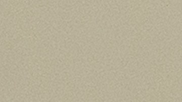 Kimberly Cheatle en el Congreso