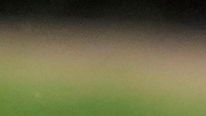 El enorme apoyo a Harris forma parte de un movimiento más extenso entre los líderes y funcionarios electos del Partido Demócrata.