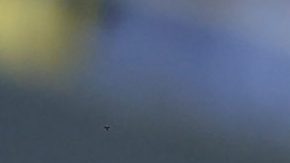 Heinz Morschel, jugador dominicano, controla la pelota.