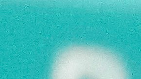 Stephen Curry, una de las grandes figuras que dice presente en los JJ.OO.