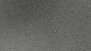 LeBron James en un entrenamiento del Team USA.