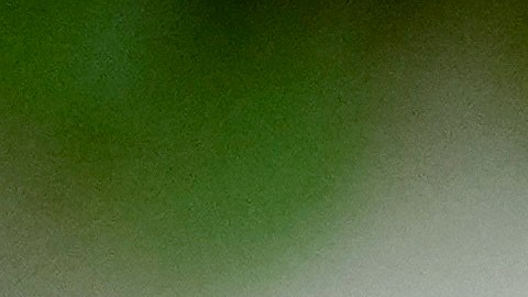 Estos cambios propuestos por Biden ya se habían filtrado con anterioridad a la prensa.