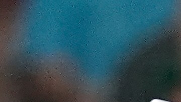 Aaron Judge tuvo una actuación soñada con Yankees en el Fenway Park.