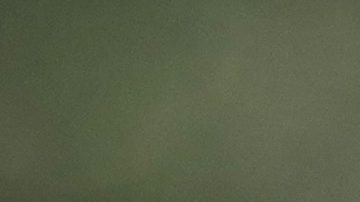 Aaron Rodgers no jugará primeros partidos de pretemporada con Jets