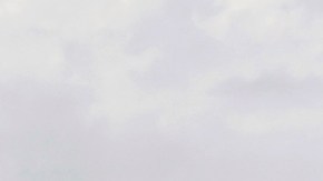 La agencia estatal añadió que está trabajando en conjunto con varias agencias policiales estatales y locales para hacer las respectivas pesquisas.