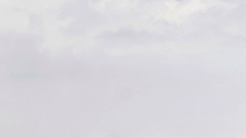 La agencia estatal añadió que está trabajando en conjunto con varias agencias policiales estatales y locales para hacer las respectivas pesquisas.