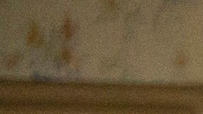 Beneficiarios del Seguro Social