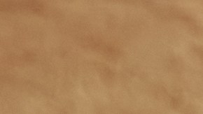 Alimentos fermentados