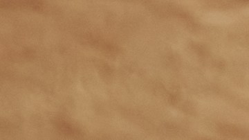 Alimentos fermentados