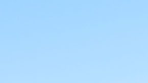 André Jardine, entrenador de Club América.