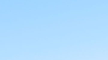 André Jardine, entrenador de Club América.