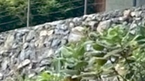 Andrés Tovar y Maite Perroni el día de su boda en octubre de 2022.