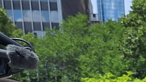 Sobrevivientes de Violencia doméstica como Consuelo Rodríguez revelan la dificultad de encontrar vivienda permanente para víctimas