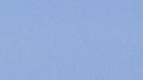 Experto en biología dice que la ballena salió del mar con la boca abierta, lo que significa que buscaba su alimento y nunca vio el barco.