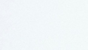 Bruce Willis fue diagnosticado con demencia frontotemporal en febrero de 2023