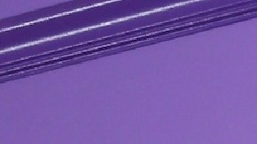 Carolina Sandoval, presentadora de televisión.