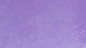 Carolina Sandoval, presentadora de televisión.