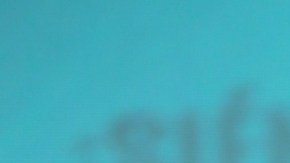 Carolina Sandoval, presentadora de televisión.