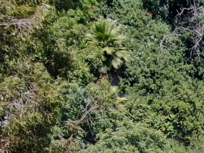 La nueva casa de Ben Affleck está ubicada en Pacific Palisades.
