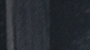 Céline Dion ha estado alejada de la industria tras dar a conocer que batalla con el Síndrome de la Persona Rígida.