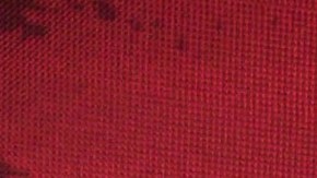 Chiquis Rivera, cantante de música regional.