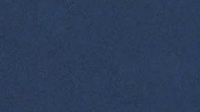 Chiquis Rivera y Emilio Sánchez se casaron en Las Vegas.