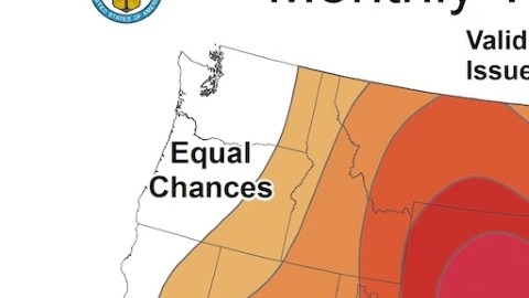 Previsión de temperatura mensual emitida el 20 de junio por el NWS que prevé temperaturas más cálidas que el promedio en Nueva York para julio.
