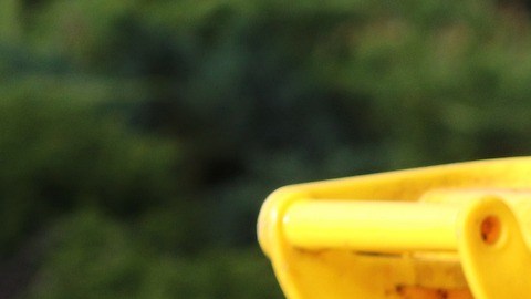 Una persona iba a tirar su basura en el contenedor cuando encontró el cadáver.