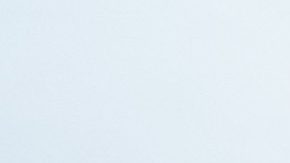 Fan y miembro de seguridad en la Copa América 2024.