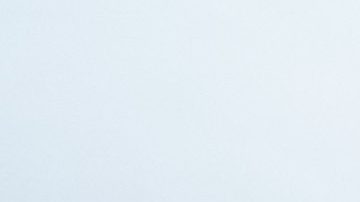 Fan y miembro de seguridad en la Copa América 2024.