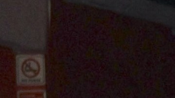 Daniel Elbittar e Irina Baeva