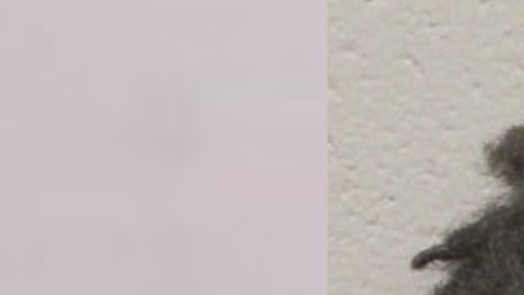 Deleon Delvontaye Davis, de 25 años fue arrestado y acusado de asesinato.